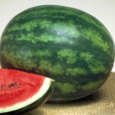 ПАЛАДИН F1 арбуз Саката