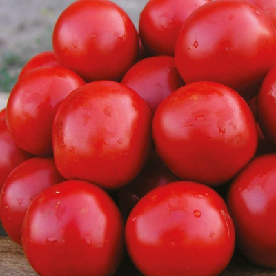 СОЛЕРОССО F1 томат Нюнемс (1000 шт)