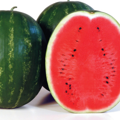 КАРИСТАН F1 арбуз Сингента