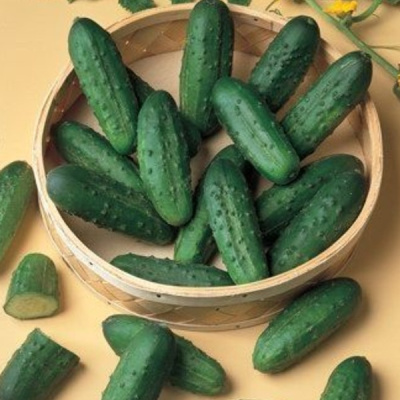 НАТАША микс F1 огурец Семинис, 1 000 шт