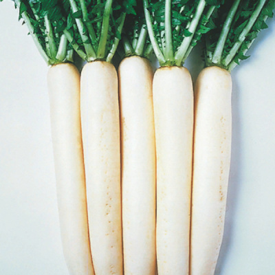 ЭПРИЛ КРОС F1 дайкон Энза Заден