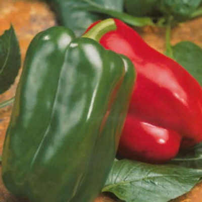 АРКАНО F1 перец Саката