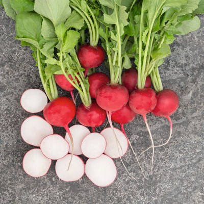 РОКСАННА F1 редис Бейо (2.50-2.75)