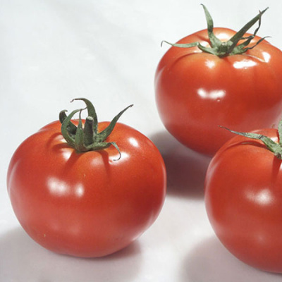 РАЛЛИ F1 томат Энза Заден