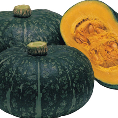 ДЕЛИКА F1 тыква Энза Заден