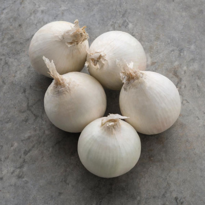 СТАРДАСТ F1 лук Бейо