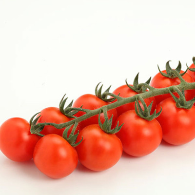 ТРЕБУС F1 томат Энза Заден