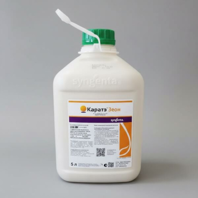 Каратэ Зеон, МКС 5 л