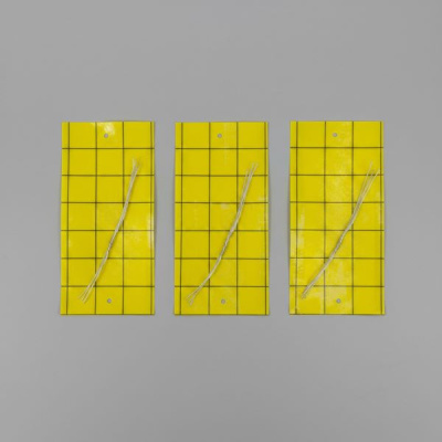 Клеевая пластина с сеткой, 20см х 10см, 10 шт