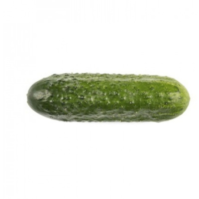 РУБАТО F1 огурец Райк Цваан, PR, 250 шт