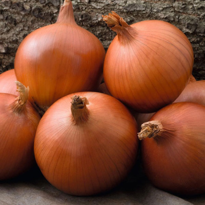 МЭЛЛОРИ F1 лук Бейо