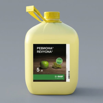 Ревиона, КС 5 л