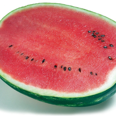 ТОП ГАН F1 арбуз Сингента