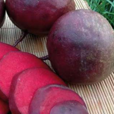 ФАЛКОН F1 свекла Саката