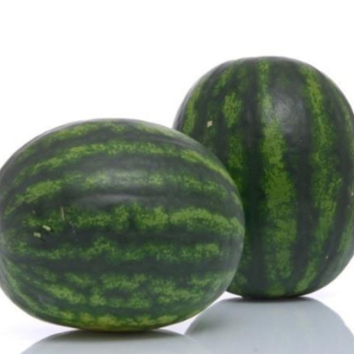 САРМАТ F1 арбуз Саката