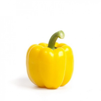 СВЕН F1 перец Райк Цваан