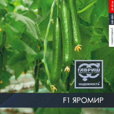 ЯРОМИР F1 огурец Гавриш