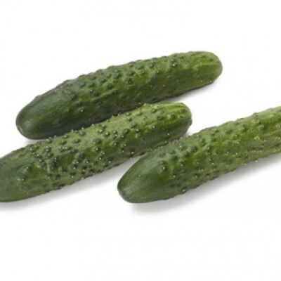 КАРМИНАРА F1 огурец Райк Цваан