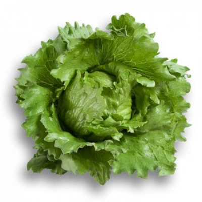 УМБРИНАС F1 салат айсберг Райк Цваан, 1 тыс.драже