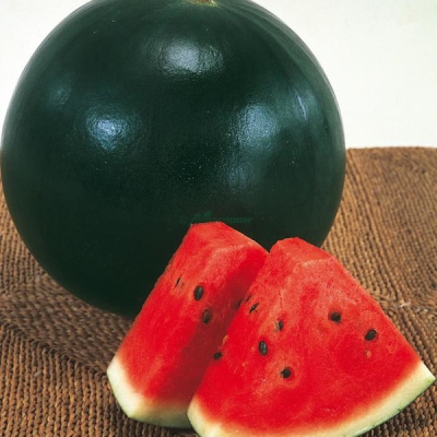 МУЛАТ F1 арбуз Саката