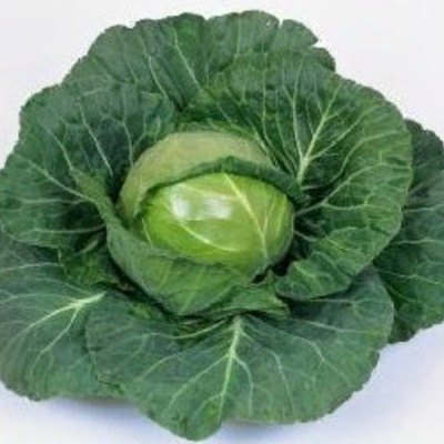 НОЗОМИ F1 капуста белокочанная Саката