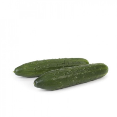 СВЯТОГОР F1 огурец Райк Цваан