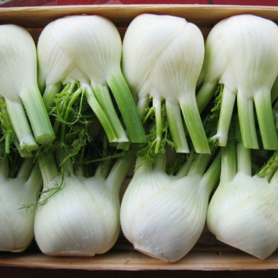 РОНДО F1 фенхель Бейо