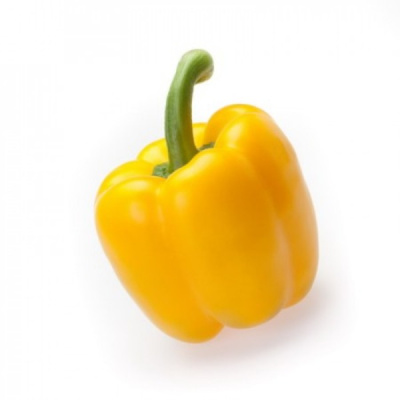 СТАЙЕР F1 перец Райк Цваан