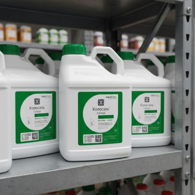 Колосаль, КЭ 5 л