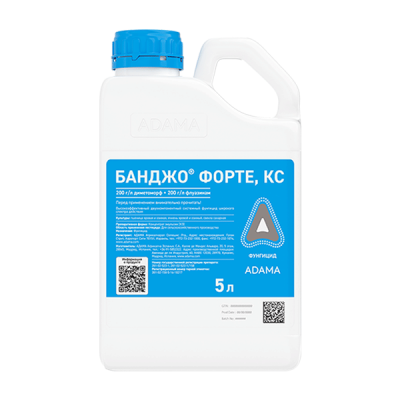 Банджо Форте, КС