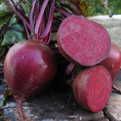 МАНОЛО F1 свекла Бейо (3.0-3.5)