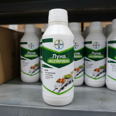 Луна Экспириенс, КС 1 л