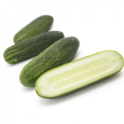 БЕРНШТАЙН F1 огурец Райк Цваан, PR, 1000 шт