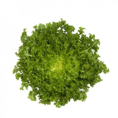 МОНАКО F1 эндивий Райк Цваан, 1 тыс.драже