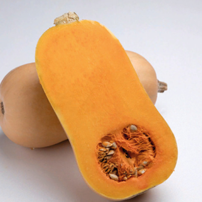 ТИАНА F1 тыква Энза Заден