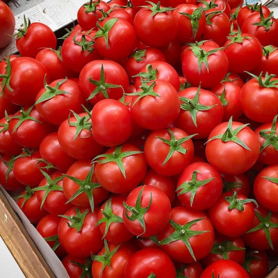 ДОНАЛЬД F1 томат Нюнемс