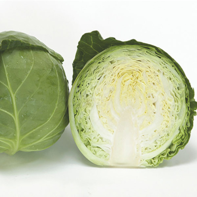 ОРТУС F1 капуста белокочанная Энза Заден