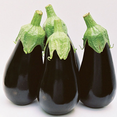 БЛЕК ПЕРЛ F1 баклажан Энза Заден