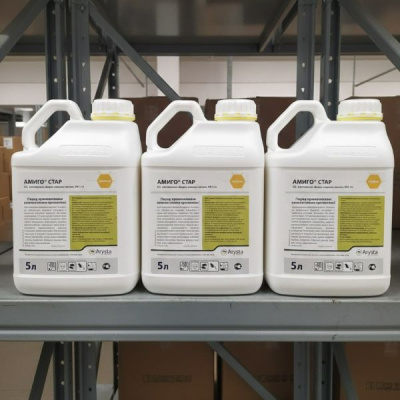 Амиго Стар, КЭ