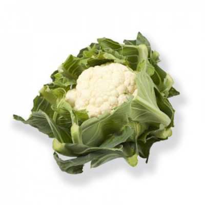 ПРУДЕНЦИЯ F1 капуста цветная Райк Цваан, NS, 1000 шт