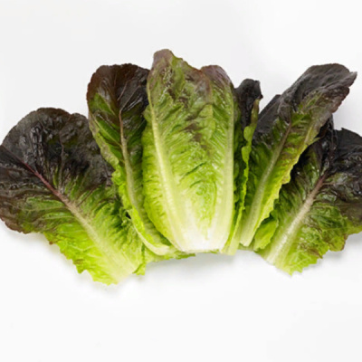 МУНРЕД F1 салат романо Энза Заден