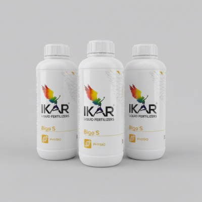 Икар Фосто Roots/Биго С, 1 л