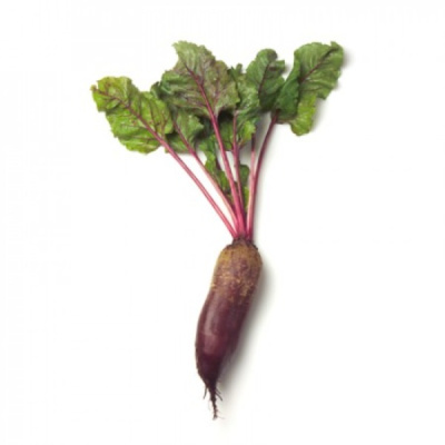 КАРИЛЛОН F1 свекла Райк Цваан, кал.2, 75-3, 50, 1 тыс.шт