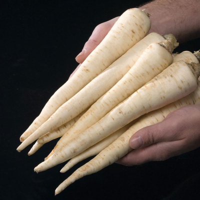 ИГЛ F1 петрушка Бейо