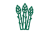 Спаржа
