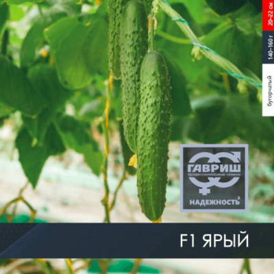 ЯРЫЙ F1 огурец Гавриш