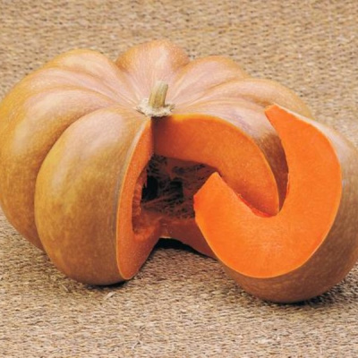 МУСКАТНАЯ ПРОВАНСКАЯ F1 тыква Вильморин