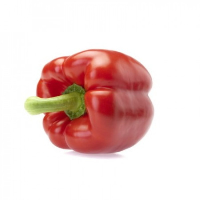 НАГАНО F1 перец Райк Цваан