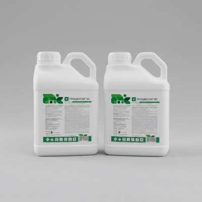 Процессор, КС 5 л