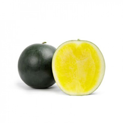 ТРОПИКАЛ САНШАЙН F1 арбуз Райк Цваан, PR, 1000 шт